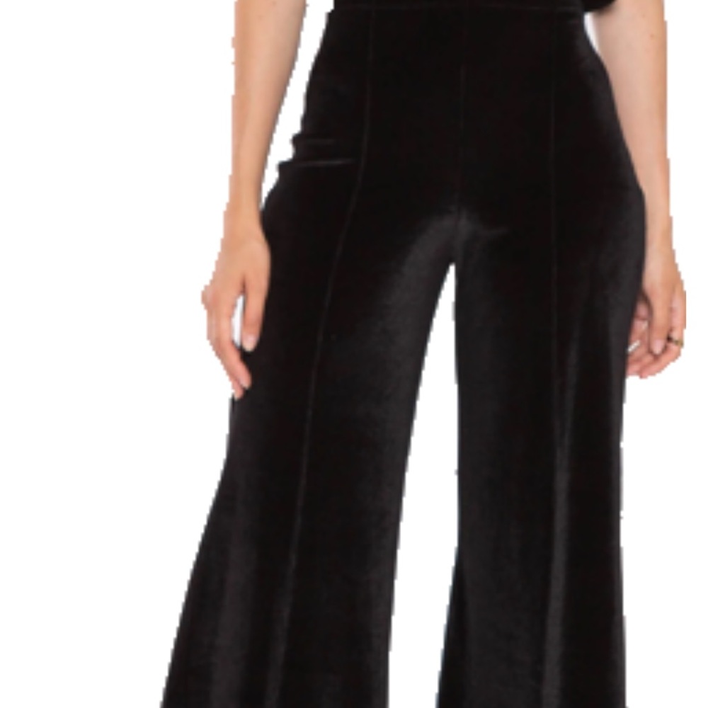 Ripley Rader velvet wide leg pants - 3/M BNWT